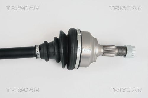 Cardã Triscan A/S ref. 8540 28646