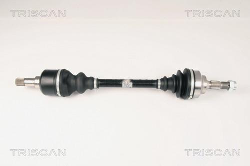 Cardã Triscan A/S ref. 8540 28647