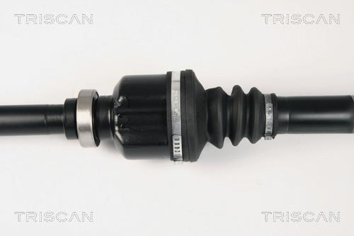 Cardã Triscan A/S ref. 8540 28653