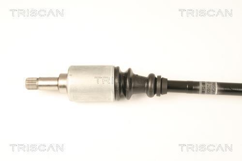 Cardã Triscan A/S 8540 28658