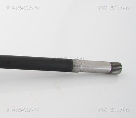 Cardán Triscan A/S 8540 28676