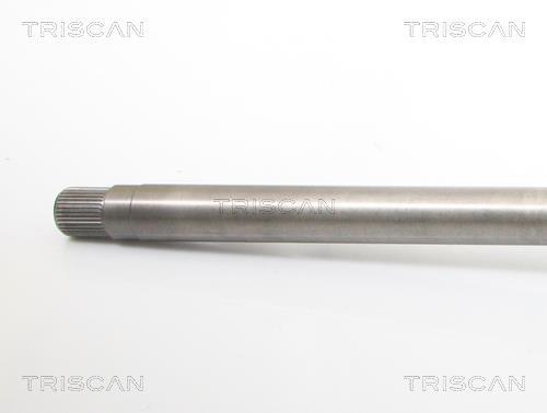 Cardan Triscan A/S 8540 28685