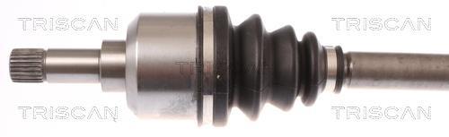Cardan Triscan A/S ref. 8540 28687