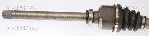 Cardan Triscan A/S ref. 8540 28699
