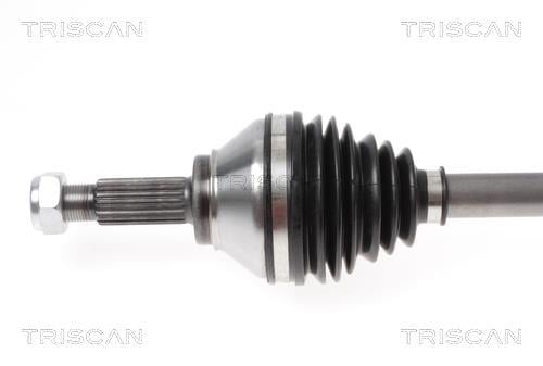 Cardã Triscan A/S ref. 8540 295011