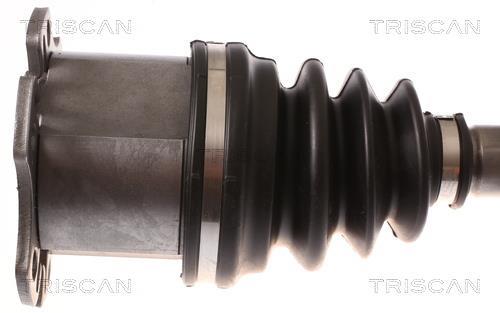 Cardã Triscan A/S ref. 8540 295013