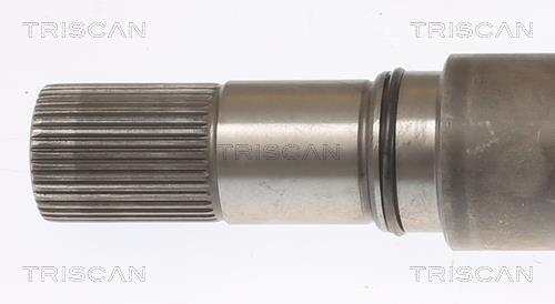 Cardan Triscan A/S ref. 8540 295022