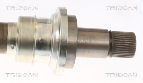Cardan Triscan A/S 8540 295023