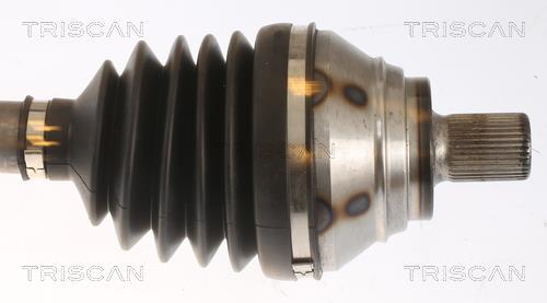 Cardan Triscan A/S 8540 295033