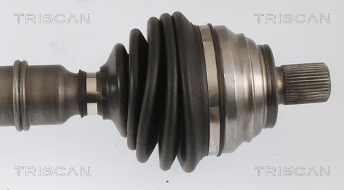 Cardan Triscan A/S ref. 8540 295040