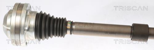 Cardan Triscan A/S ref. 8540 295042