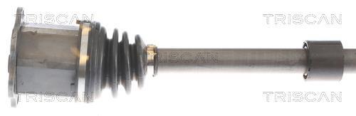 Cardan Triscan A/S ref. 8540 295044