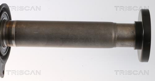 Cardán Triscan A/S ref. 8540 295056