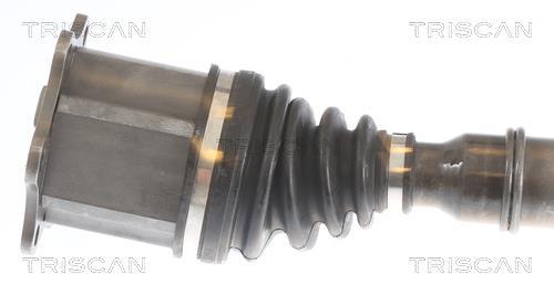 Cardan Triscan A/S ref. 8540 295059