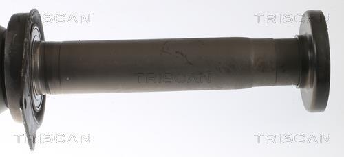 Cardan Triscan A/S ref. 8540 295061