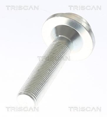 Cardã Triscan A/S 8540 295063