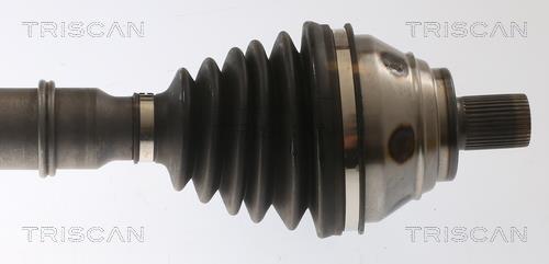 Cardan Triscan A/S 8540 295065