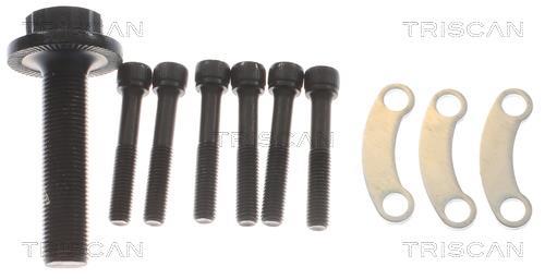 Cardan Triscan A/S ref. 8540 295067