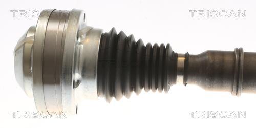 Cardan Triscan A/S ref. 8540 295078