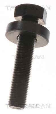 Cardan Triscan A/S 8540 295079