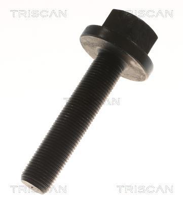 Cardan Triscan A/S 8540 295085