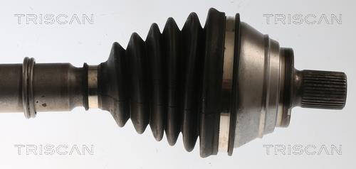 Cardan Triscan A/S 8540 295098