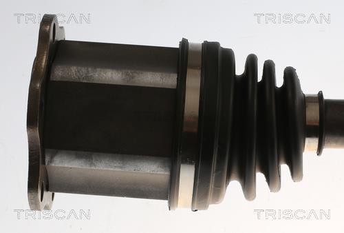 Cardan Triscan A/S ref. 8540 296061