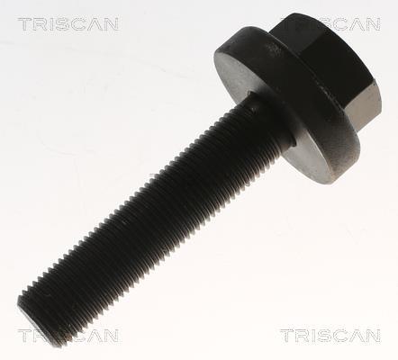 Cardã Triscan A/S ref. 8540 296071