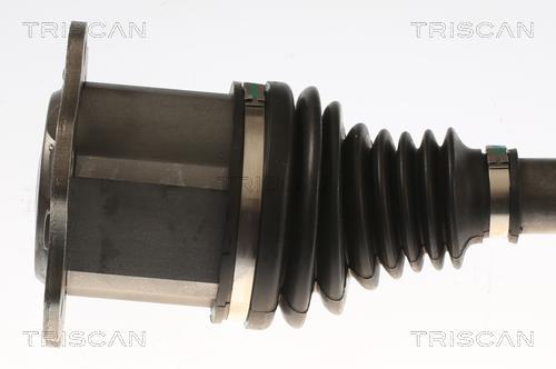 Cardan Triscan A/S ref. 8540 296087