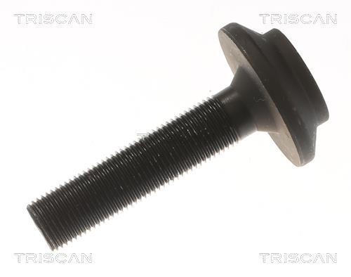Cardan Triscan A/S ref. 8540 296087