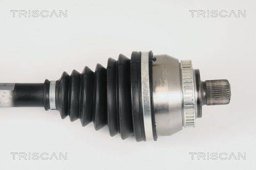 Cardã Triscan A/S ref. 8540 29612