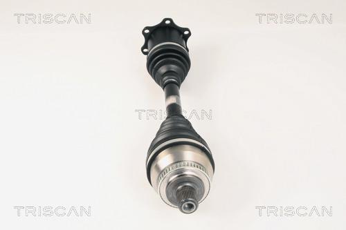 Cardã Triscan A/S ref. 8540 29612