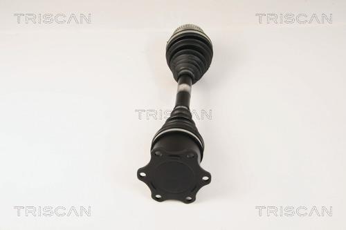 Cardã Triscan A/S ref. 8540 29612