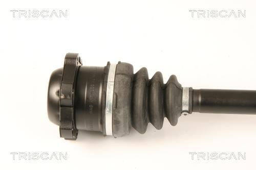 Cardan Triscan A/S ref. 8540 29617