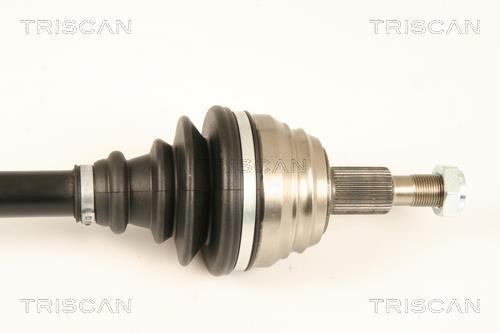 Cardan Triscan A/S ref. 8540 29617