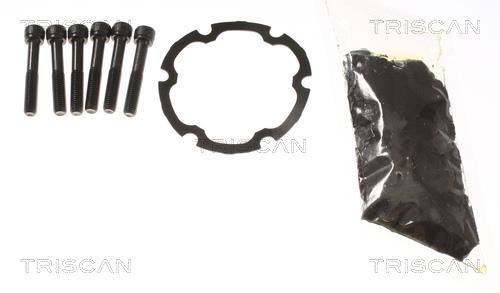 Cardã Triscan A/S ref. 8540 29619