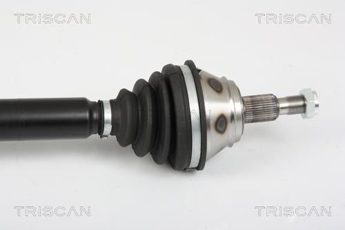 Cardán Triscan A/S ref. 8540 29622