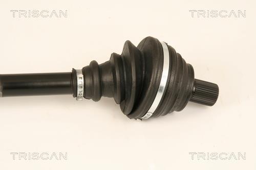 Cardán Triscan A/S ref. 8540 29631
