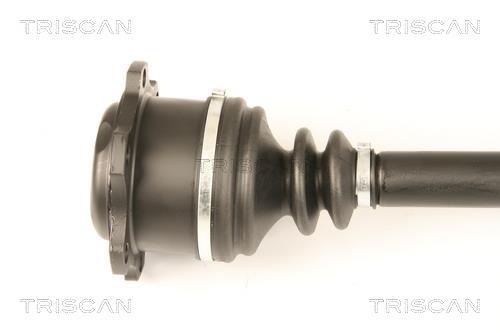 Cardan Triscan A/S ref. 8540 29641