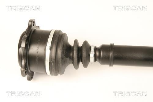 Cardan Triscan A/S ref. 8540 29646