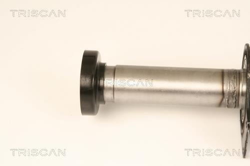 Cardan Triscan A/S ref. 8540 29666