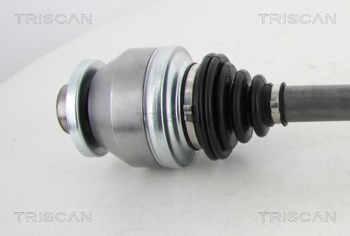 Cardã Triscan A/S ref. 8540 29667