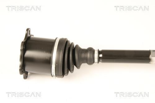 Cardan Triscan A/S ref. 8540 29676