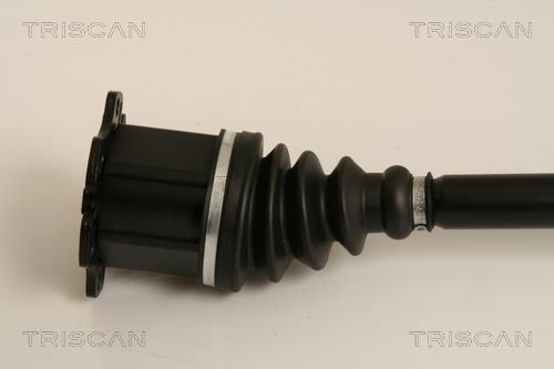 Cardán Triscan A/S ref. 8540 29677