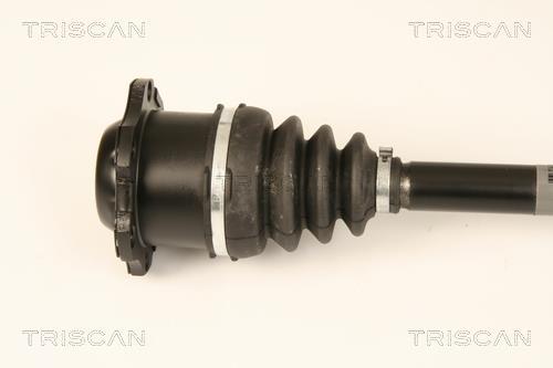 Cardán Triscan A/S ref. 8540 29681