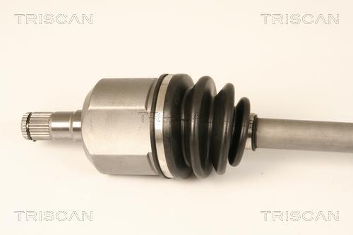 Cardã Triscan A/S ref. 8540 29686