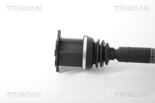 Cardán Triscan A/S ref. 8540 29690