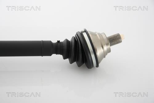 Cardán Triscan A/S ref. 8540 29690