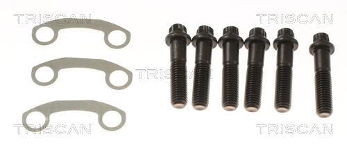 Cardan Triscan A/S 8540 297001
