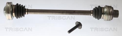 Cardán Triscan A/S ref. 8540 297019